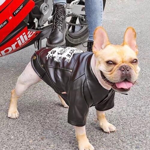 Pet Dog Motorcycle Jacket Biker Jacket Coat Waterproof Winter Dog Clothes for Small Medium Large Dogs Bulldog Pug Pets Clothing