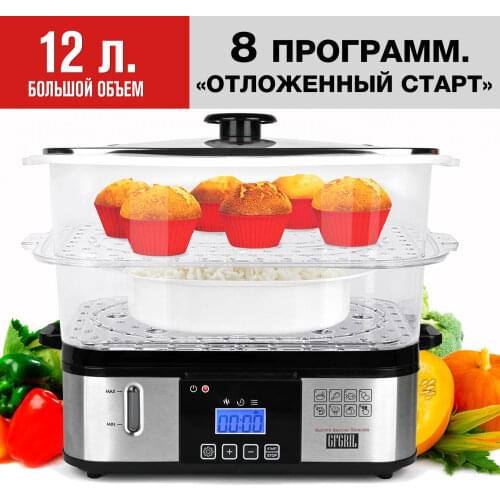 GFGRIL Electric Steamers