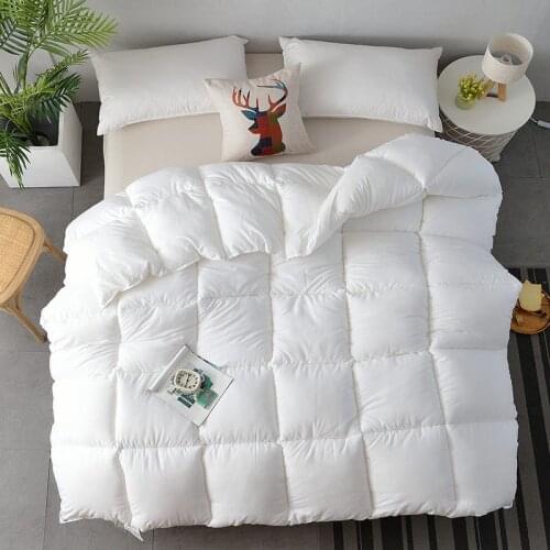 Solid color frosted springautumn quiltHotel Winter quilt Hotel thin quilt warm feather velvet quilt core student dormitory quilt