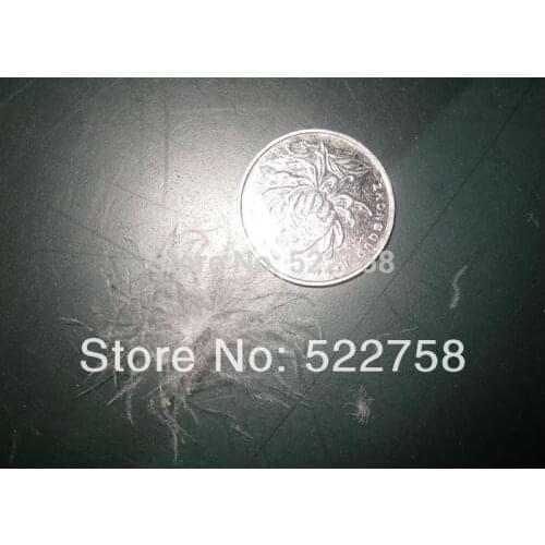 2016 European standard 80% EN12934 white big duck down 250g price /down coat filler