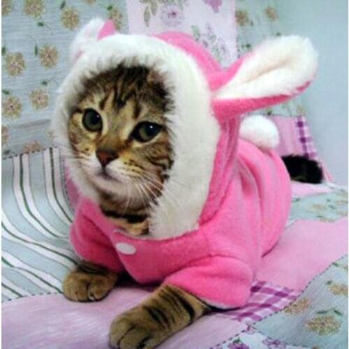 Pet Cat Clothes Mascotas Costume Clothes For Pet Hoodies Cute Rabbit Cat Clothing Puppy Fleece Warm Pet Cat Jacket Outfit