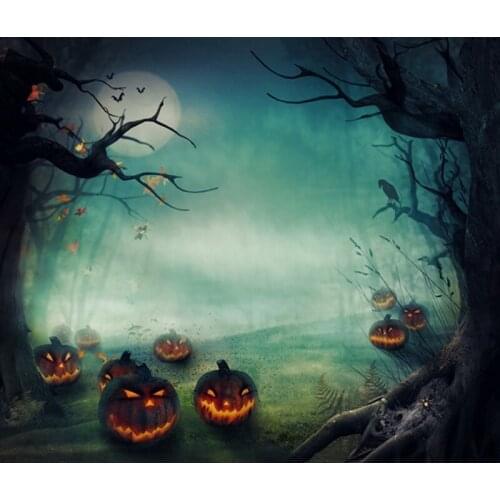 HUAYI Photography Backdrop Halloween Pumpkin Lantern Horror Night Photo Background Child Studio Room Party Decoration PropD-6903