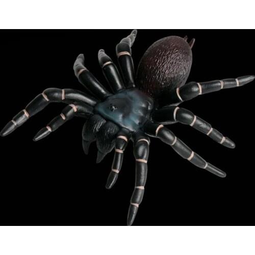 Halloween Party Ornament Black Spider Halloween Decoration Haunted House Prop Indoor Outdoor Giant Decor