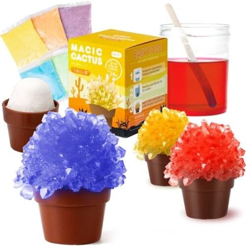 Childrens Simulated Crystal Cactus Educational Toy Detechable Improve Intelligence Pattern Portable Educational Toys