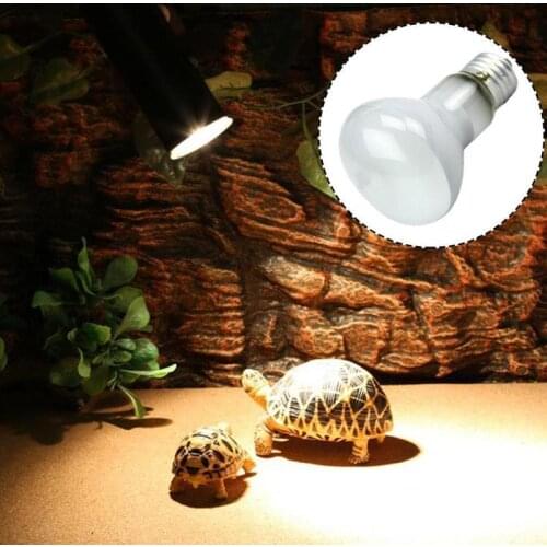 Reptile Lamp Bulb Turtle Basking Uv Light Bulbs Heating Lamp Amphibians Lizards Temperature Controller Light Bulb