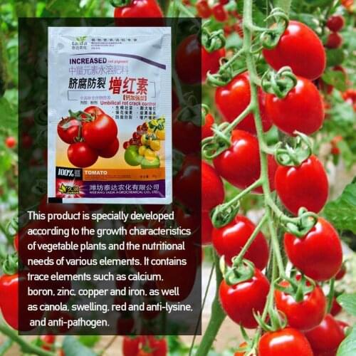 Special Vegetable Fertilizer Supplemental Plant Nutrition Expanded Fruit Homobrassinolide Rapid Rooting For Home Garden Bon G1X0