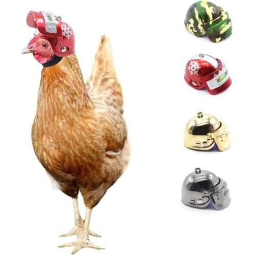 Chicken Helmet Cap Pet Protective Gear Sun Rain Protection Adjustable Helmet Bird Hens Small Pet Supplies Costumes Accessories