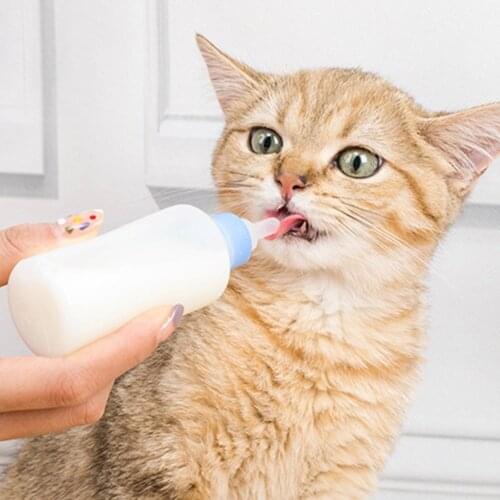 Kitten Feeding Bottle Set with Cleaning Brush Pacifiers Silicone Pet Dog Cat Baby Nursing Water Milk Feeder Pet Supplies