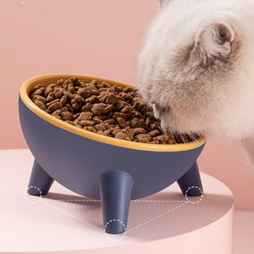 15° Tilt Pet Bowl With Stand For Cat Storage Of Food Raised Non-slip Neck Guard Pet Eating Food Bowls For Small Dogs Supplies