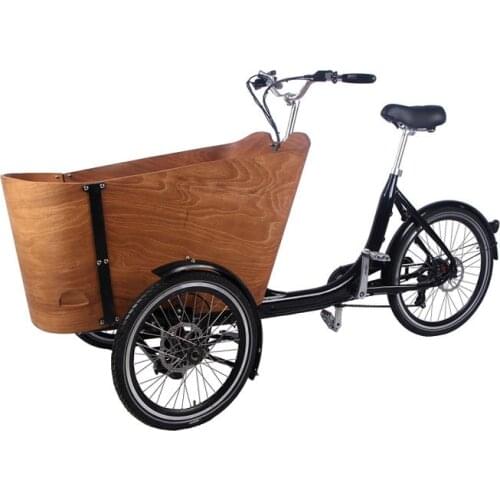 Wooden Frame Electric Adult Tricycle Trends 3 Wheels Dutch Cargo Bike Family Bicycle Kids Scooter for Sale Free Shipping