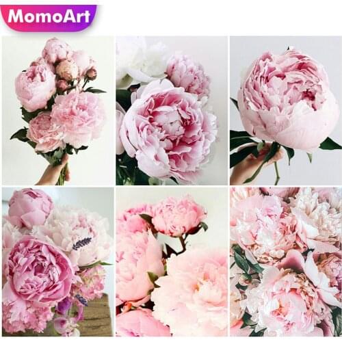 MomoArt Diamond Painting Peony Needlework Diamond Embroidery Flower Cross Stitch Kits Mosaic Full Drill Square Home Decoration