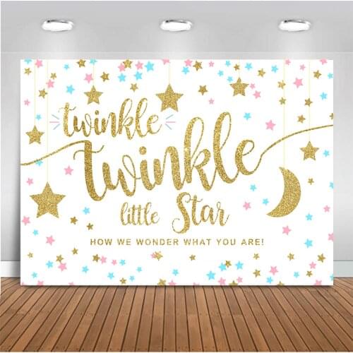 Boy or Girl Baby Gender Reveal Party Background Golden Star and Moon Decor Boy Girl Birthday Party Photo Backdrop Banner