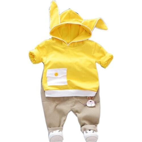 Spring Autumn Baby Boys Girls Clothes Suit Children Hooded Pants 2Pcs/sets Toddler Active Cotton Clothing Infant Kids Tracksuits