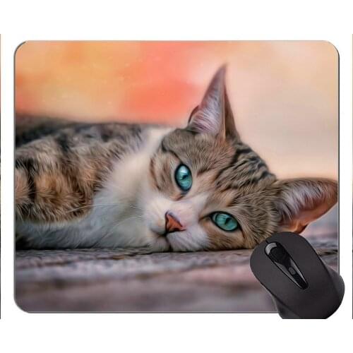 Mouse Pad with Stitched Edge,Cat art Home Office Computer Accessories Mousepads