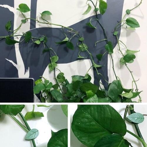 10/50pcs Reusable Plant Support Garden Clips for Vines Vegetables Tomatoes Garden Greenhouse _WK