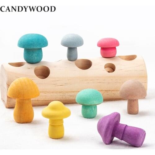 Wooden Rainbow Blocks Mushroom Picking Game Montessori Educational Wooden Baby Toys Developmental Shape Matching Assembly Grasp