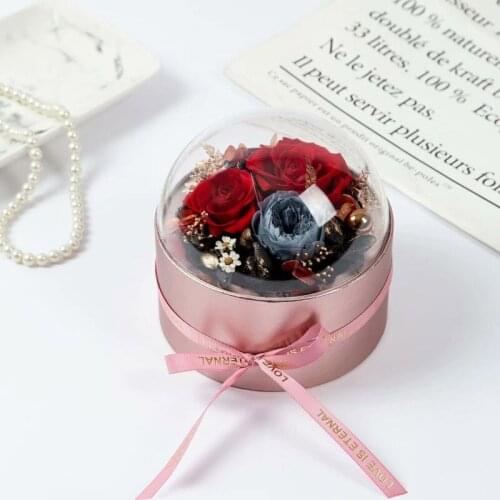 Transparent Christmas Surprise Gift Packaging Box Creative Waterproof Eternal Flower Succulent Round Acrylic Window Apple Box