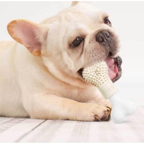 Pet Dog Chew Bone Toy Pet Bite Resistant Plush Puppy Squeaky Toy Teeth Cleaning Molar Toys Dog Supplies