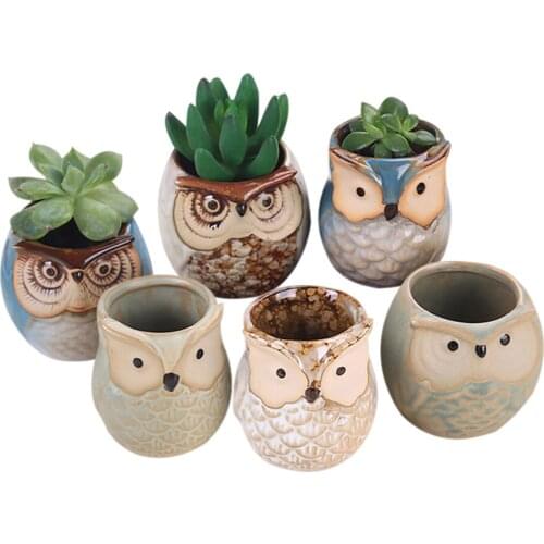 6Pcs/Set Ceramic Owl Pot Succulent Plant Cactus Flower Pot Container Planter Bonsai Pots GQ