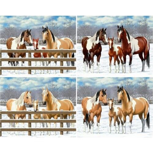 Canvas Size 5D Diy Diamond Painting Cross Stitch Kit Diamond Mosaic Embroidery " Horse " Painting Square/Round Drill Gift