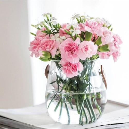 WSHYUFEI Glass Vase Wall Hanging Plant Transparent Terrarium Glass Bottle Hydroponic Bottle Plant Flower Container Decorations