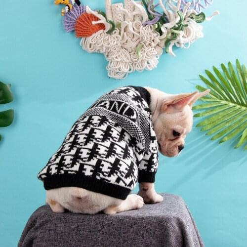 Dog Sweater XXL Luxury Designer Dog Clothes Winter Warm for Small Dogs Pull Chihuahua French Bulldog Dachshund