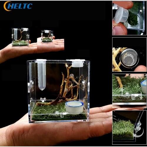1PCS Small Spider Ant Farm Insect Breathable Terrarium Transparent Reptile Breeding Box Acrylic Acrylic Assembled Eco Box