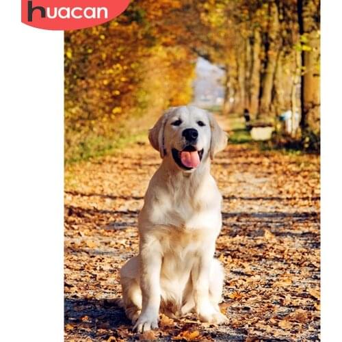 HUACAN Dog 5D Diy Diamond Painting Animal Cross Stitch Home Art Diamond Embroidery Fallen Leaves Room Decor