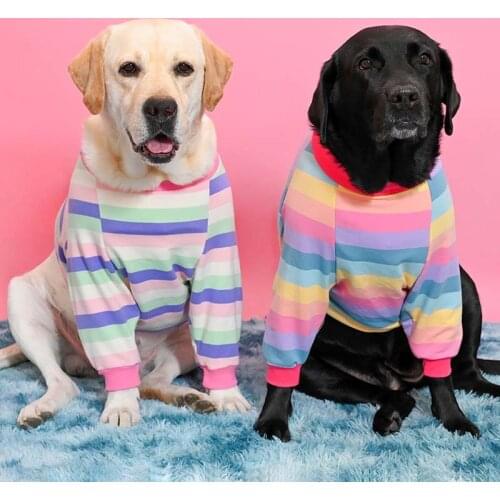 Big dog clothes Angel wings poached egg pet elbow guard joint clothing large dog clothing