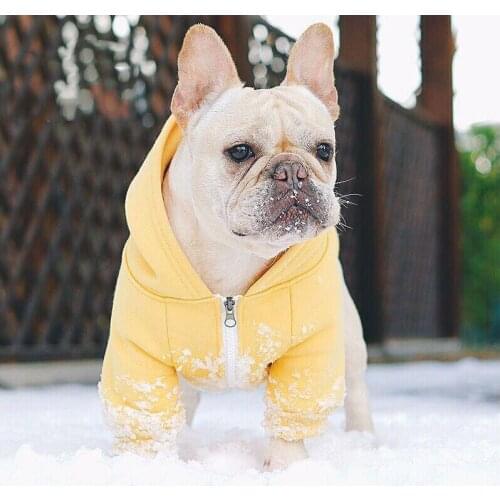 French Bulldog Hoodies Pet Dog Clothes for Small Dogs Clothing Chihuahua Warm Jacket Puppy Coat Dog Accessories for Yorkies