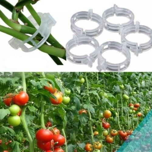 50/100pcs Plastic Plant Clips Supports Connects Reusable Supplies Tool Gardening Fixing For Vegetable Grafting Protection T A4C3