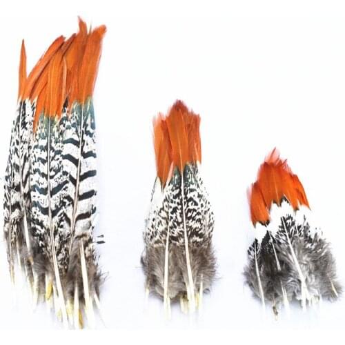 High quality perfect natural Lady Amherst Pheasant Feather 20-50pcs15-30cm diy wedding decoration plumes and feathers for crafts