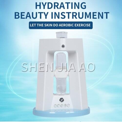 Home beauty water replenishing instrument Multi-effect deep hydrating skin care beauty sprayer Nano spray beauty equipment 1PC
