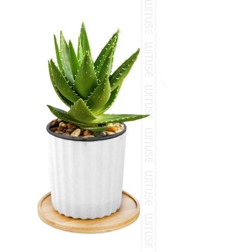 1/2/6/12pcs Desktop Bonsai Pots Bamboo Stand Gardening Round Tray Bamboo Crafts Succulent Bonsai Planter Flower Box Tray