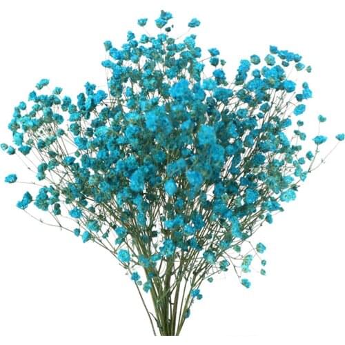 Real Natural Fresh Forever Babysbreath Dried Preserved Baby breath Flowers DIY Dry Gypsophile Flower Bouquet For Home