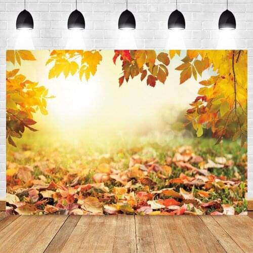Yeele Autumn Natural Scenery Backdrop Photocall Shine Baby Portrait Photographic Photography Background Photo Studio Photophone