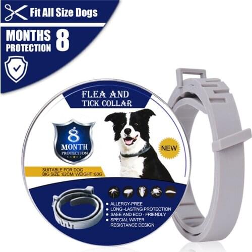 Pet Dog Cat Collar for Dogs Anti Flea Ticks Mosquitoes Outdoor Adjustable Collar Cat Accessories 8 Months Long-term Protection