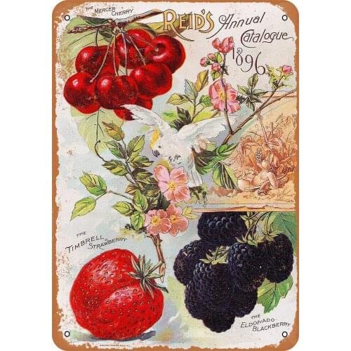 Reids Annual Catalogue 1896-8 x 12 Tin Sign Vintage Novelty Funny Iron Painting Metal Plate