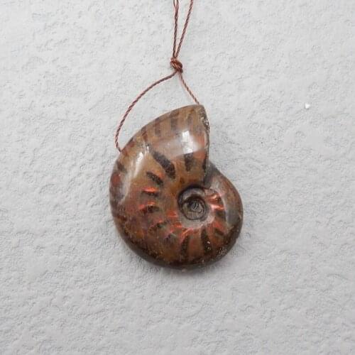 On Sale,Natural Gemstone Aommonite fossil Pendant Beads,Fashion Jewelry,36x27x11mm14.2g