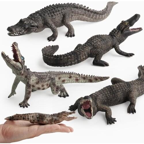 Simulated animal model PVC simulation wild crocodile model Variety of animal ornaments models Childrens holiday gift