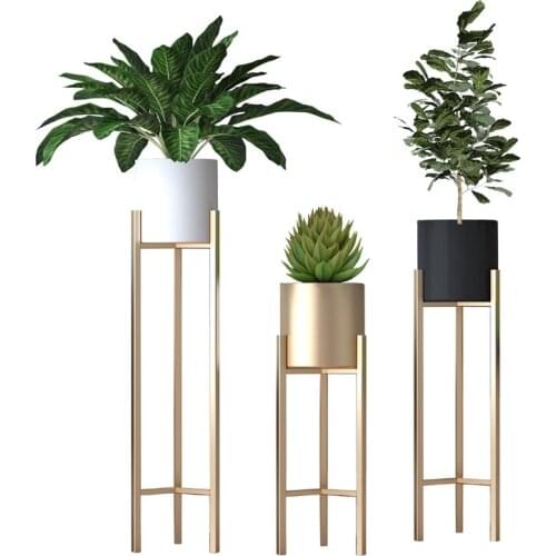 Nordic Modern Simple Home Living Room Creative Green Dill Flower Shelf Floor Iron Flower Stand Ins Golden Flower Pot Stand