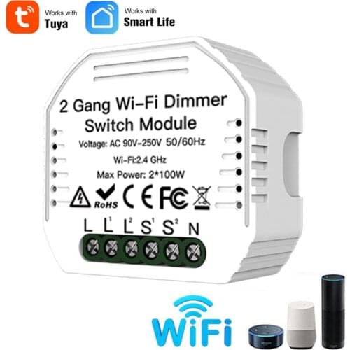 Google home voice control smart dimmer switch 2 gang wifi led dimmer switch module tuya smart life APP Amazon alexa 90-250V 100W