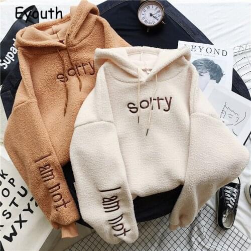 Casual Women Hoodie Imitation Lamb Velvet Sweatshirts Thick Autumn Korean Style Student Loose Large Size Harajuku Hoodies Winter