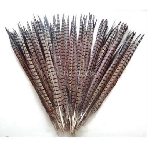 Free shipping manufacturers sale 100pcs 55-60cm 22-24inch Natural ringneck feather tail lady amherst pheasant feathers