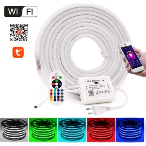AC 220V 110V RGB Neon Strip WIFI Bleutooth Control 5050 RGB LED Strip 2835 White /Warm White Flexible Neon Rope Light