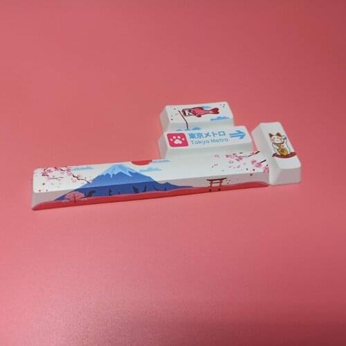 OEM PBT Profile Keycap 5-side Sublimation 4-key Spacebar Accessory for Mechanical Keyboard Shift Enter Button Lot of 4