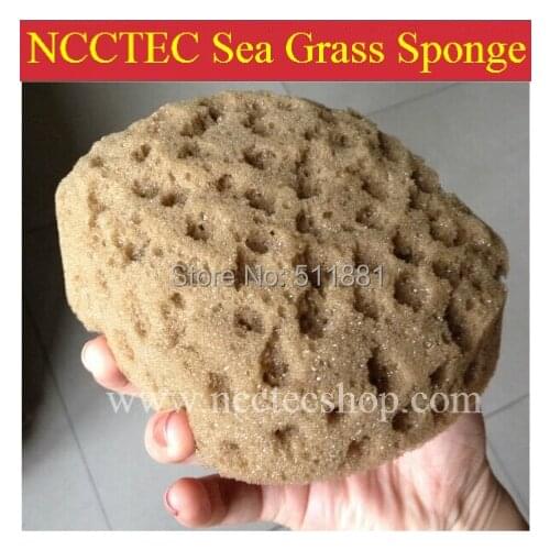 6'' NCCTEC round Man-made sea grass sponge for wall painting FREE shipping | 150mm art limitation grass sea sponge