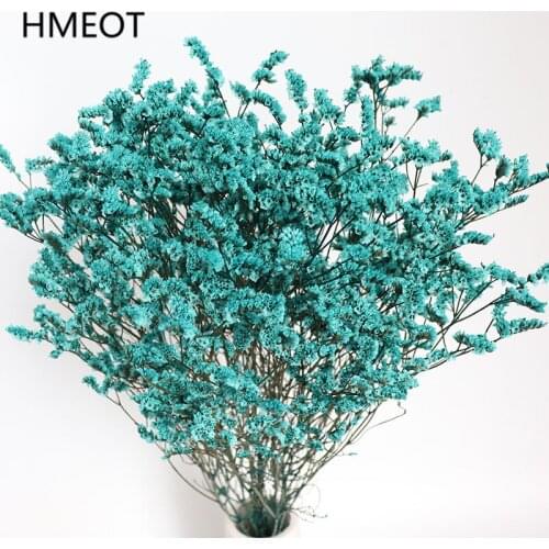 Natural Dried Flower Plants Berry Eternal Flower Golden Zombie Fruit Rich Beans Eucalyptus Mushroom Crystal Grass DIY Home Decor