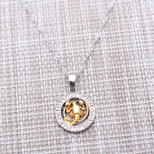 DoreenBeads Fashion 12 Constellation Necklace For Men Women Accessories Round Pendant Trendy Daily Party Necklace Gift,1 PC