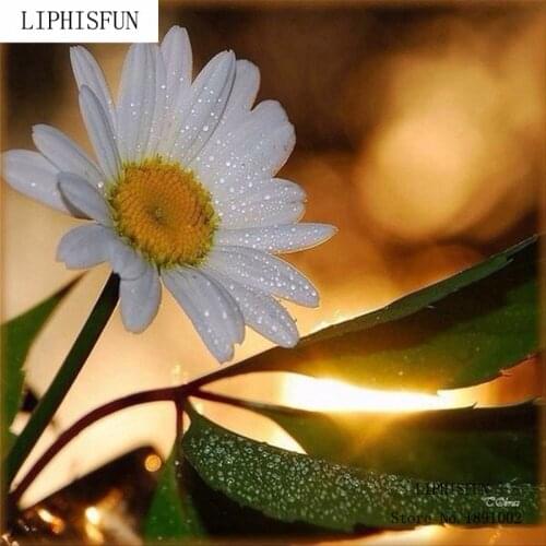 Diamond Embroidery Factory Wholesale Oil Modern Diamond Painting Flowers Cross Stitch Home Decor Rhinestone Needlework